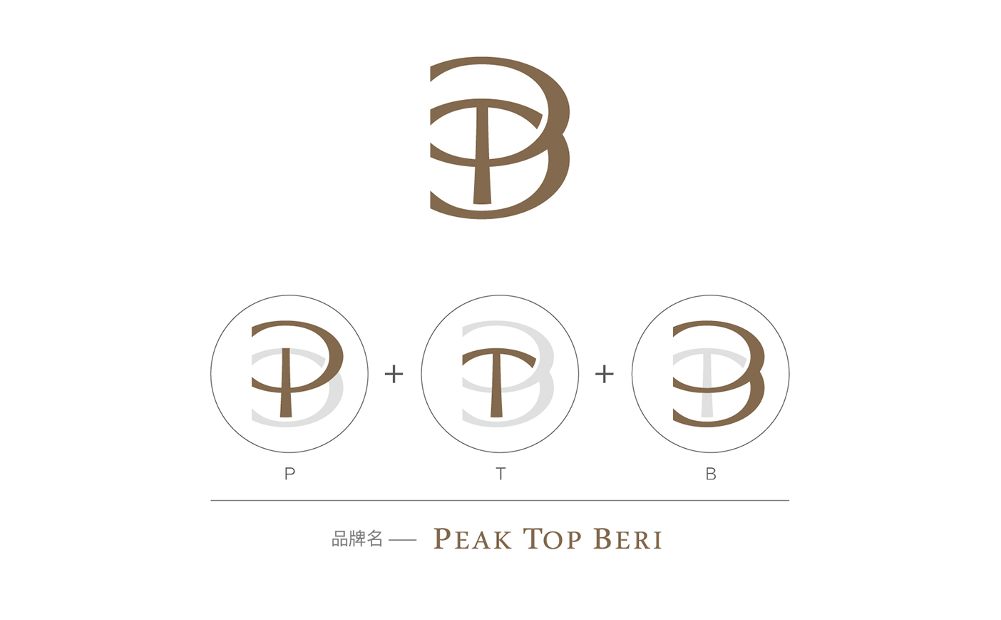 PTB形象LOGO与包装设计