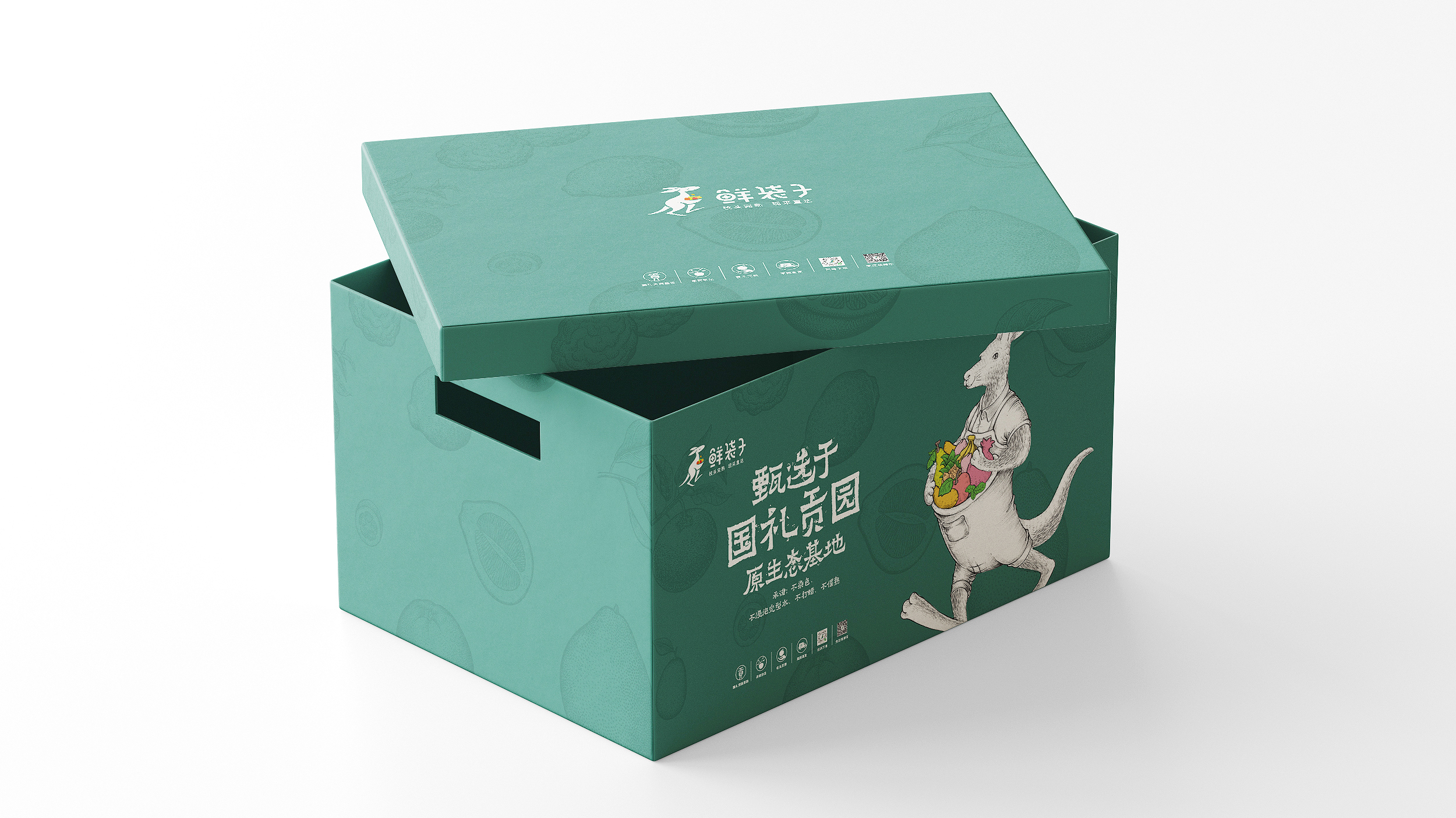 鲜袋子LOGO设计