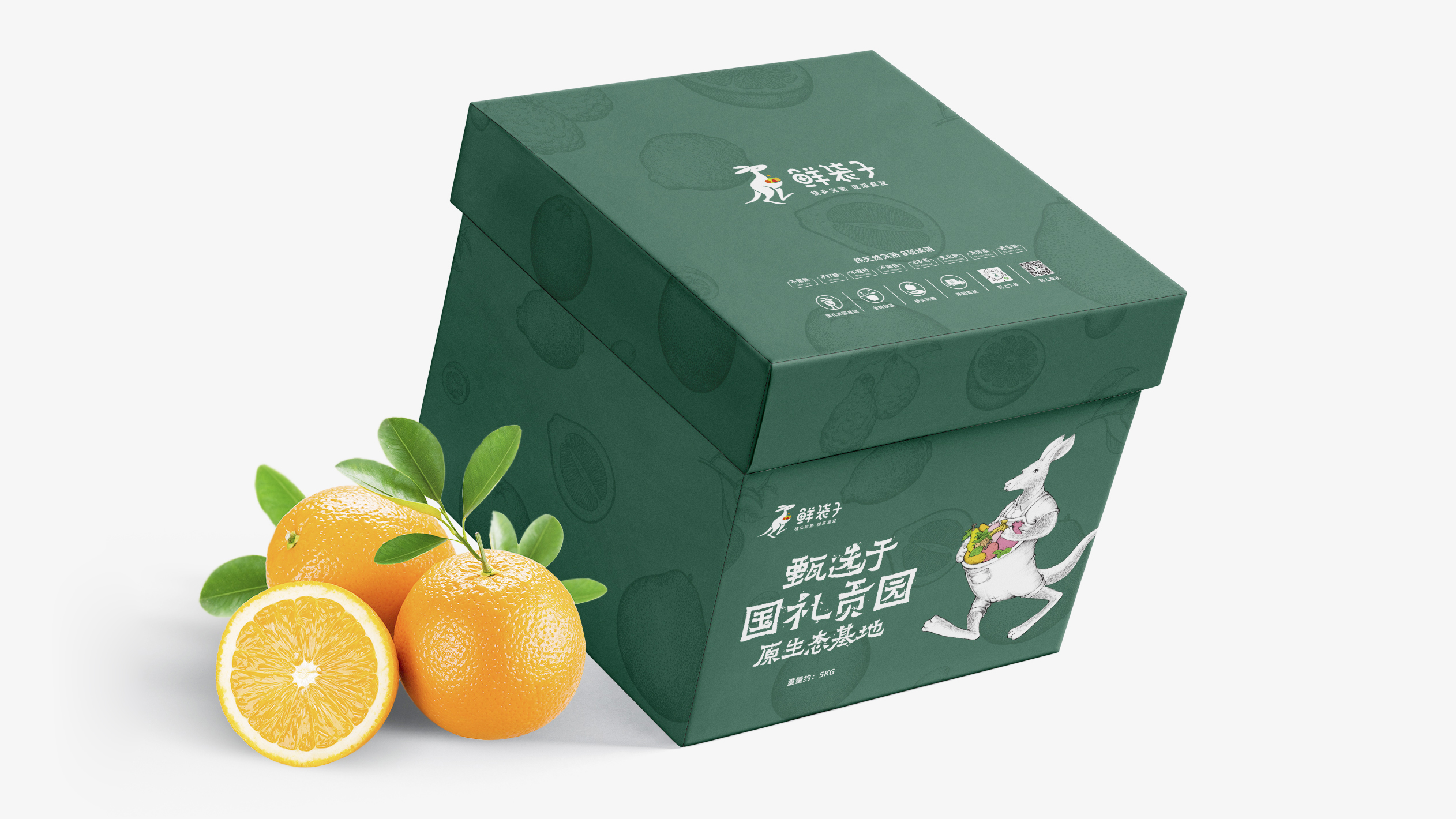鲜袋子LOGO设计