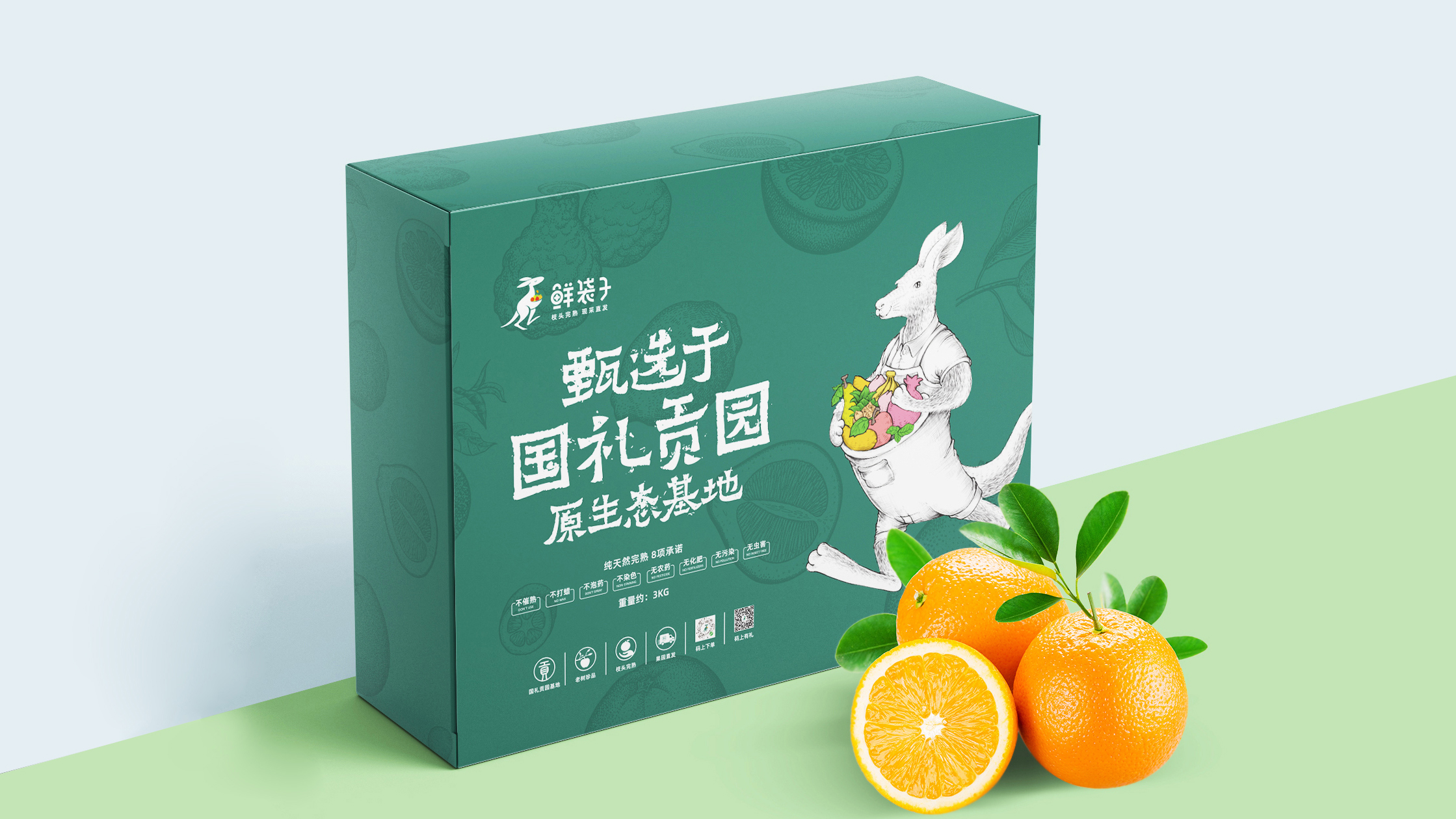 鲜袋子LOGO设计