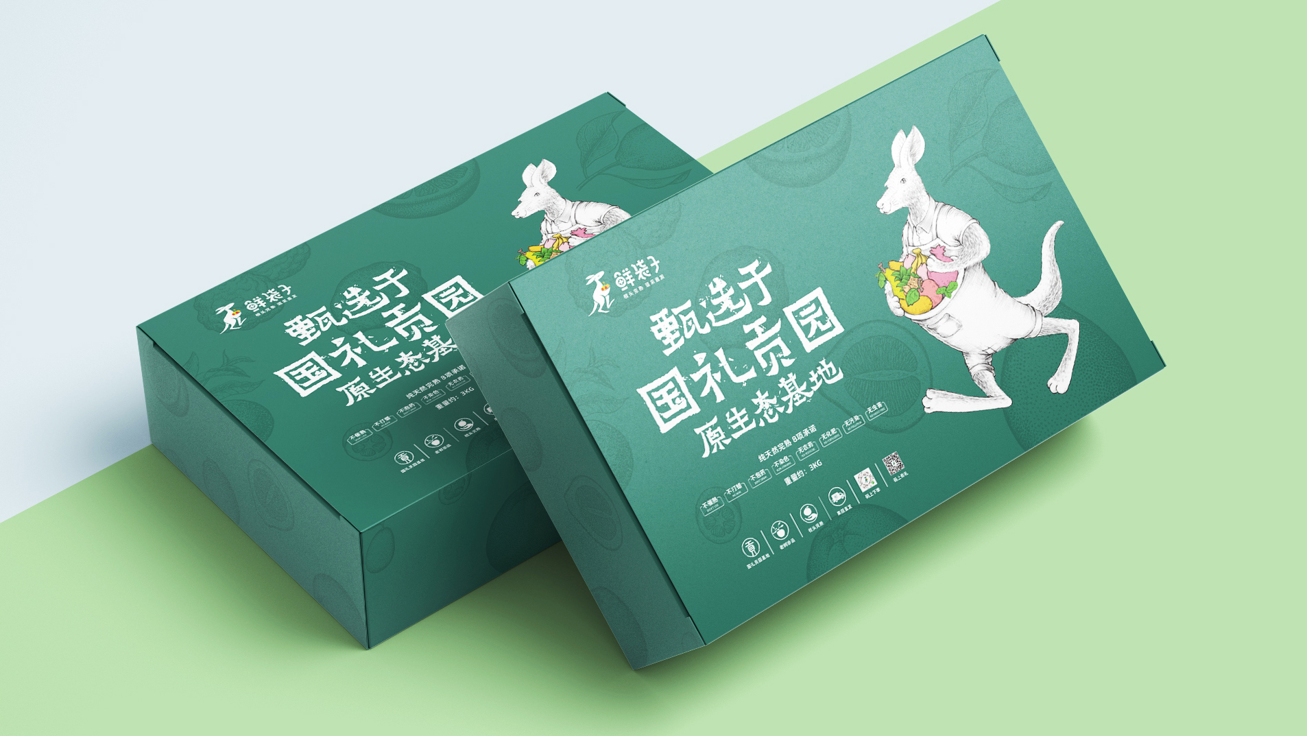 鲜袋子LOGO设计