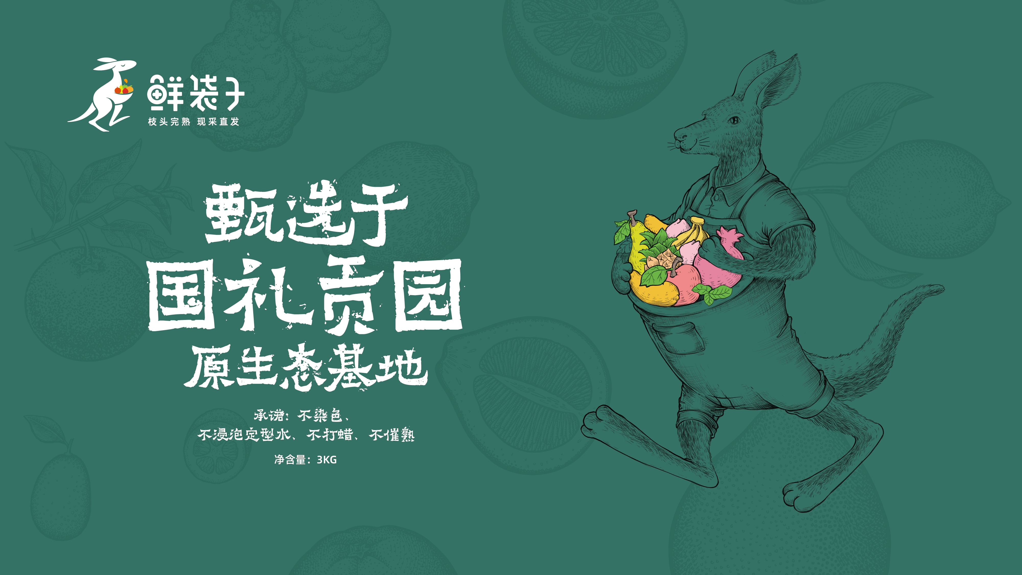 鲜袋子LOGO设计