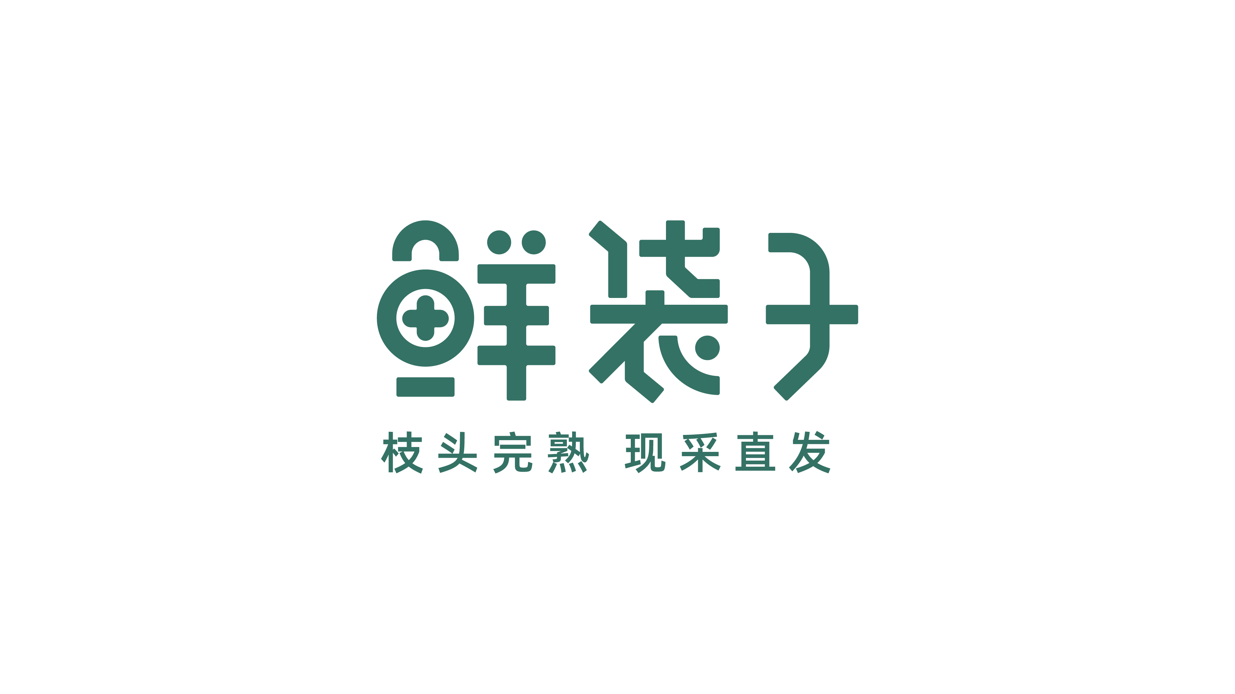 鲜袋子LOGO设计