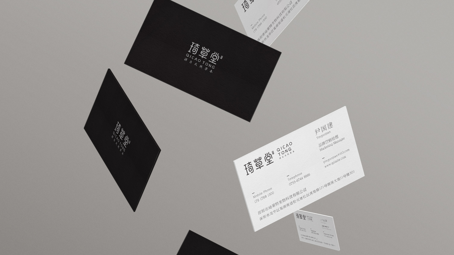 琦草堂LOGO设计