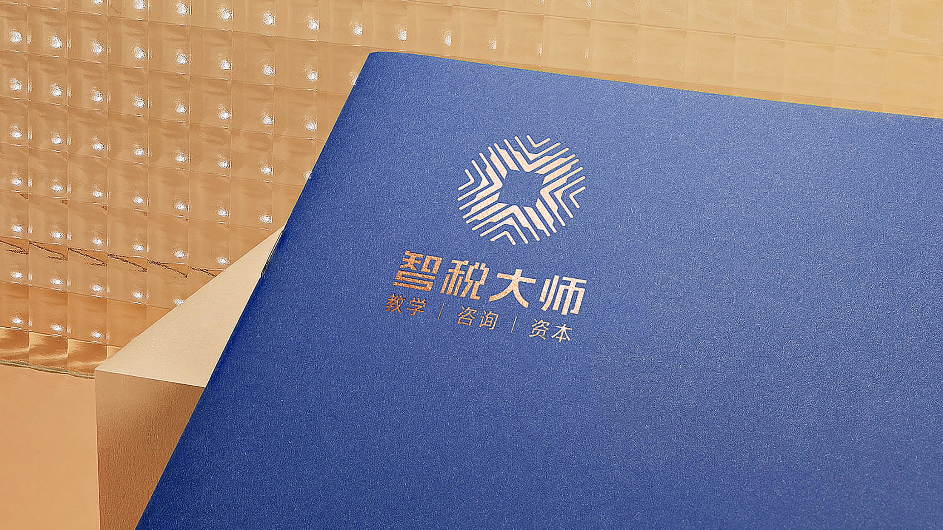 智税大师VI设计