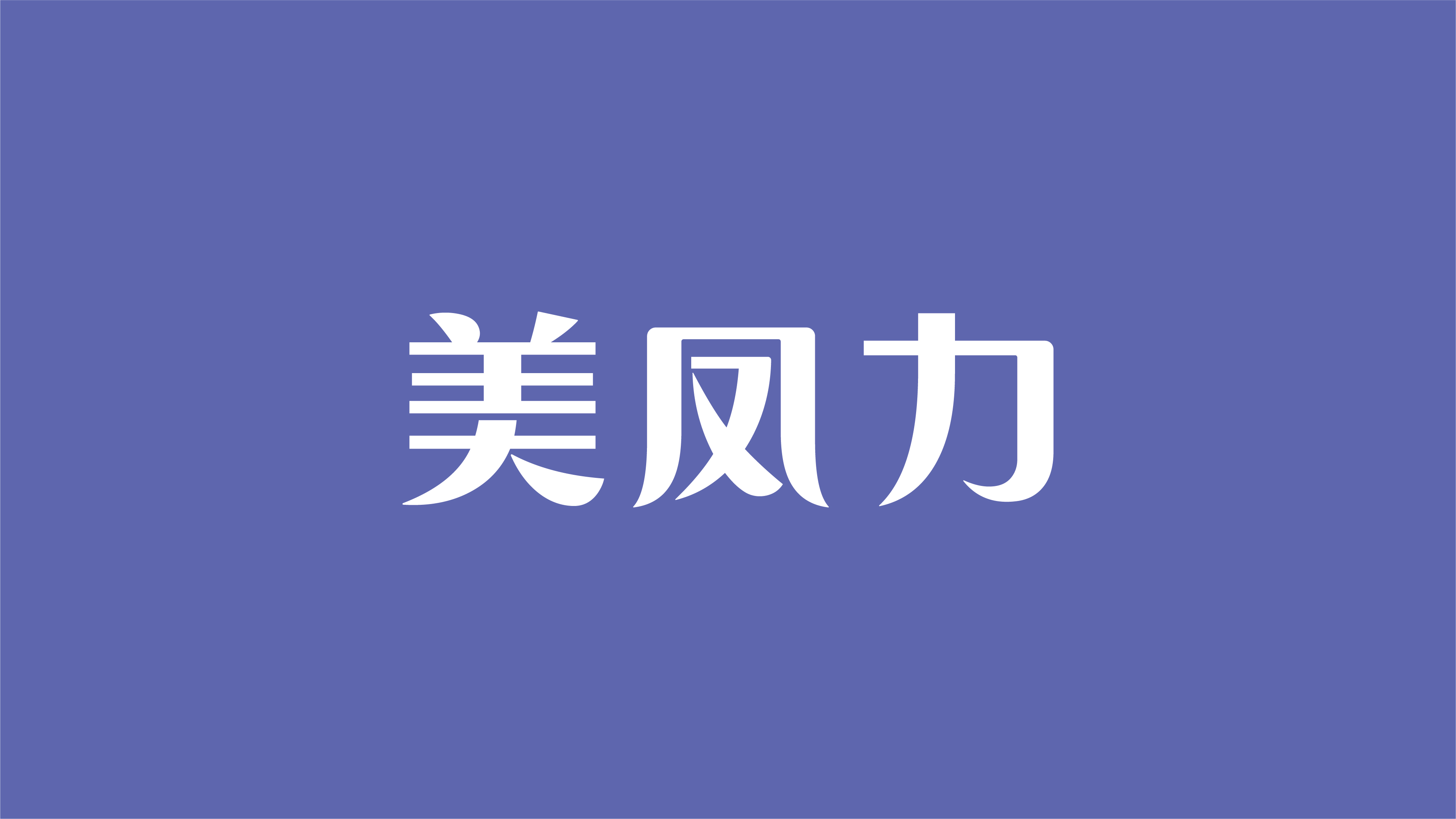 美凤力品牌VI设计