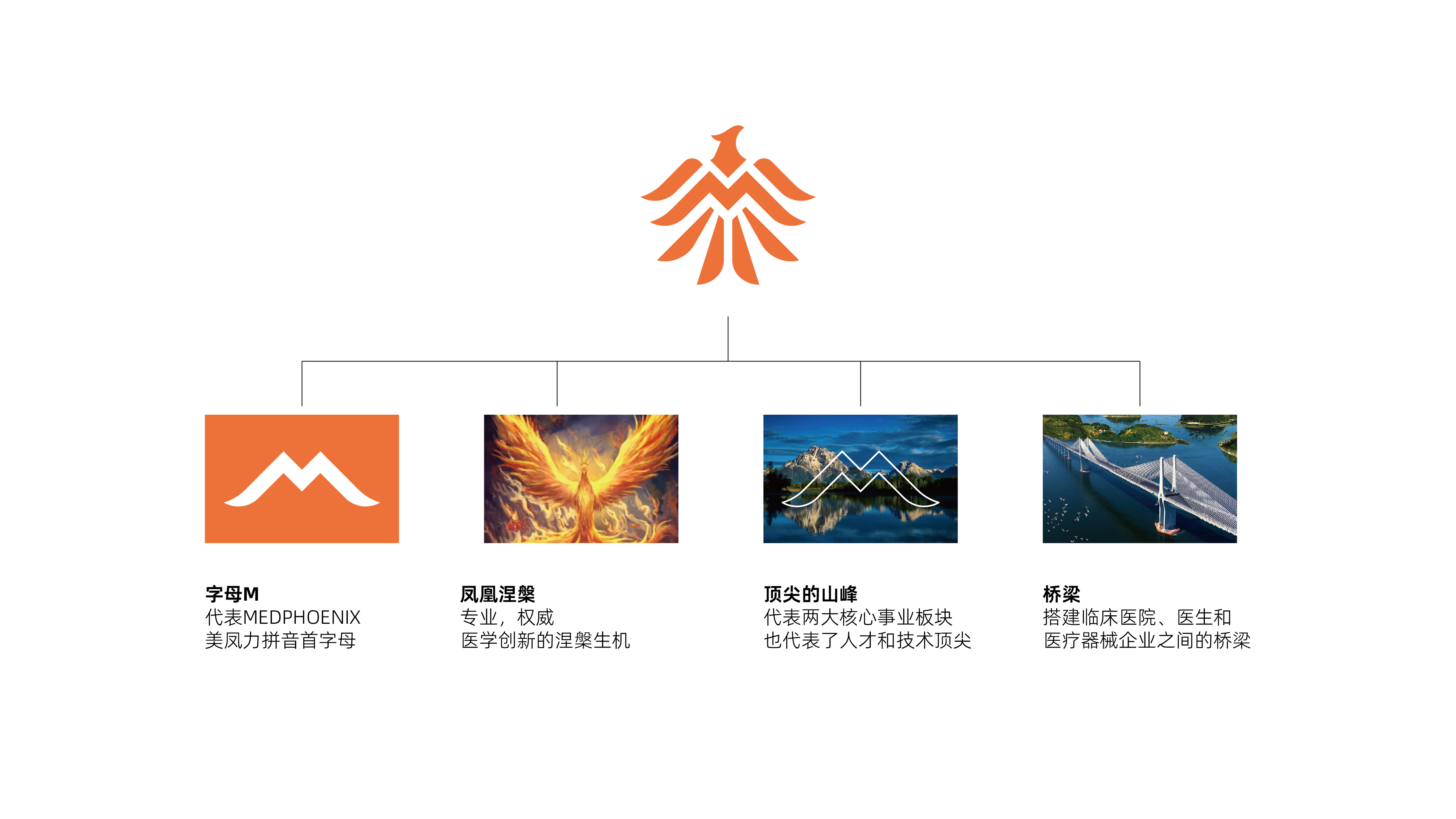 美凤力品牌VI设计