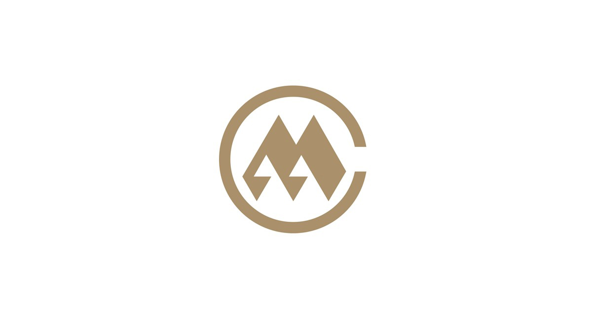 招商财务LOGO设计