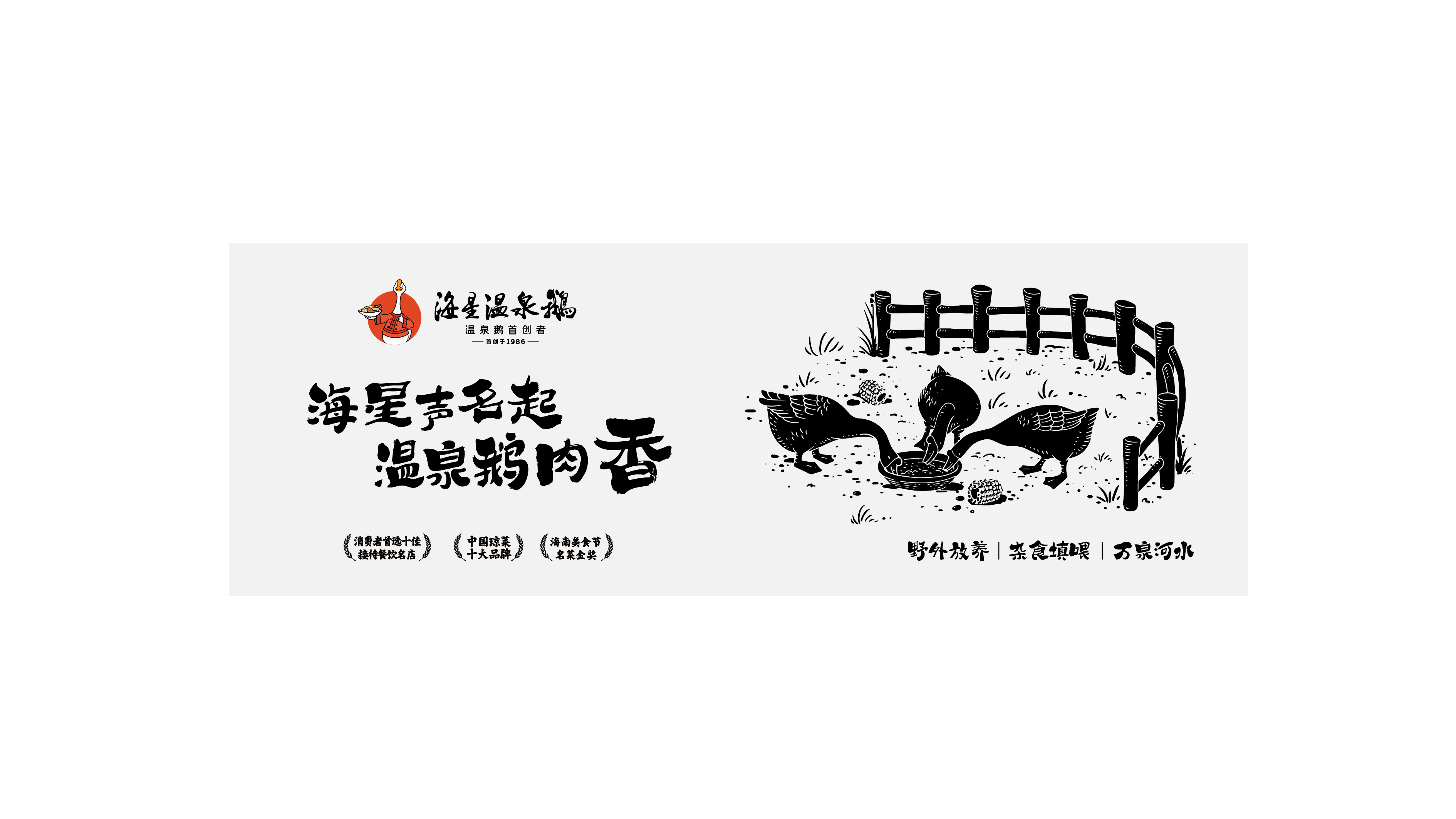 海星温泉鹅LOGO设计